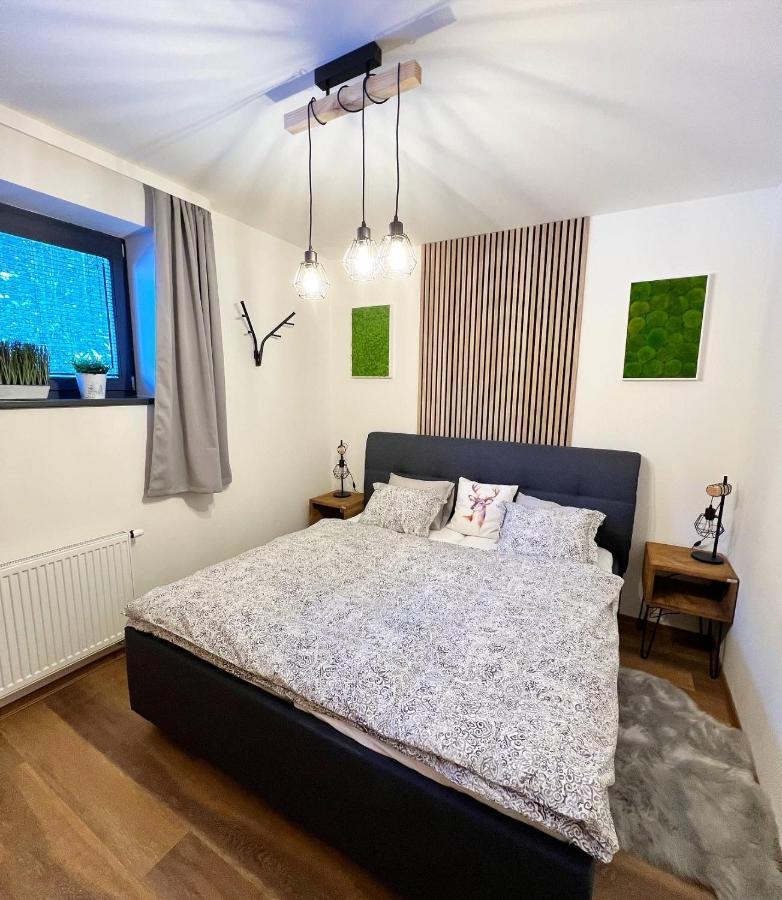 U Jelena Harrachov - Rodinny Apartman U Lesa S Garazi Exterior foto